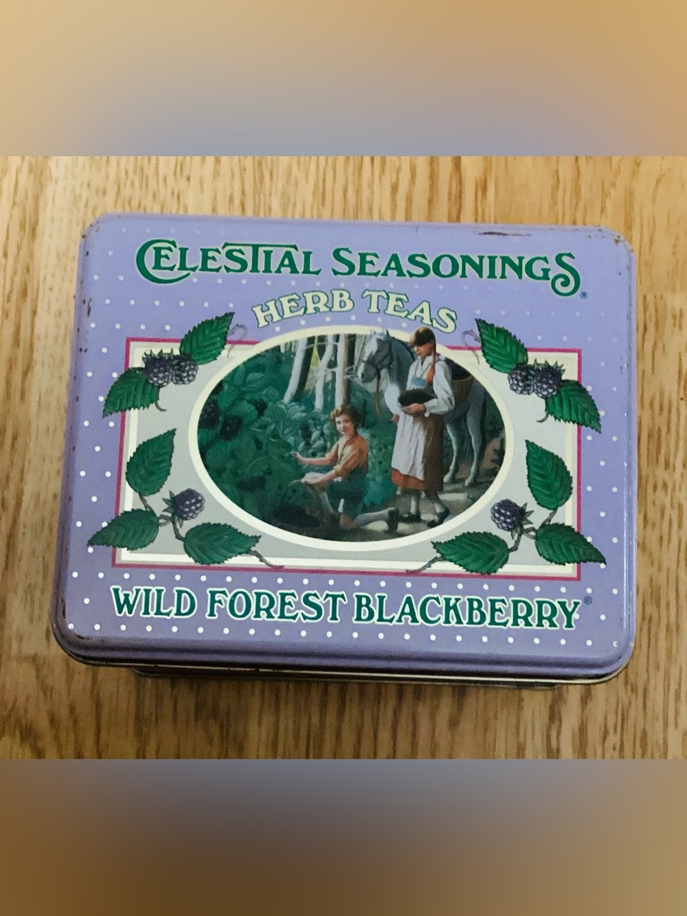 Vintage Celestial Seasonings Tea Tin Wild Forest Blackberry 1989